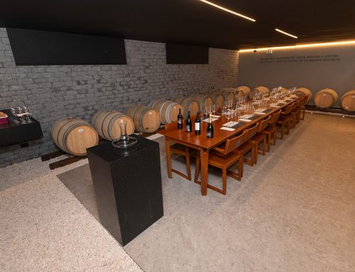 Experiência Paradigma Rotto com vinho inédito “às cegas”